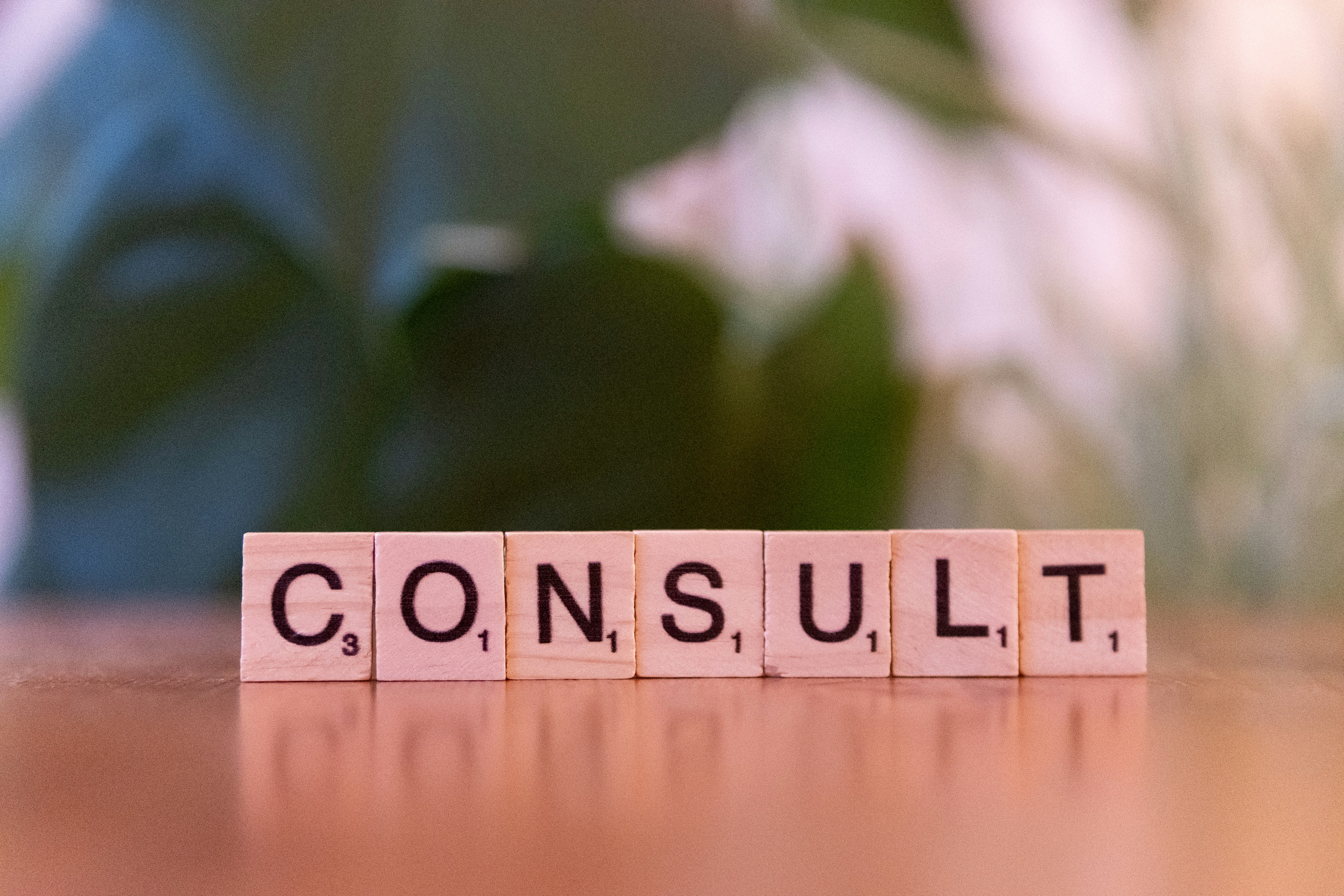 Consultation Services 2